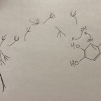 Millennial’s Delight Ethos